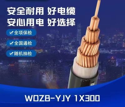 廣東中業(yè)國(guó)際電纜有限公司
