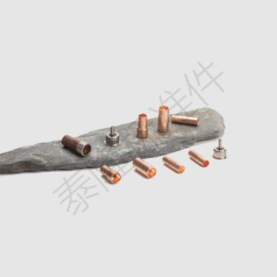 樂清市泰隆標準件有限公司