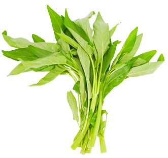 宏鴻農產品集團有限公司