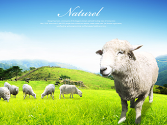 北京嘉躍網(wǎng)絡(luò)技術(shù)有限公司