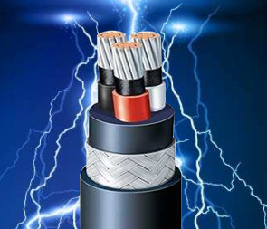 揚州華城電纜有限公司