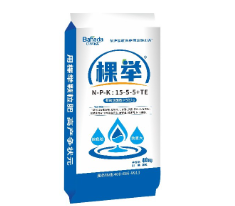 煙臺巴內達進出口有限公司