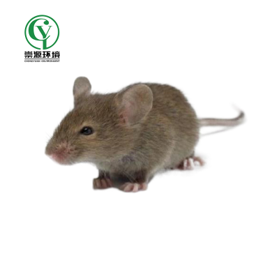 無錫崇源環境科技有限責任公司