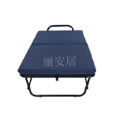 廣東麗安居家具制造有限公司