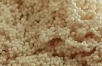 漂伊純樹脂（上海）有限公司