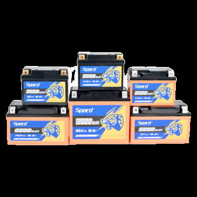 中山市世豹新能源有限公司