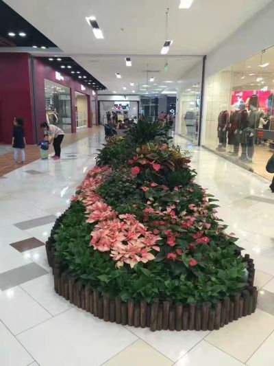 北京四季佳美園藝技術有限公司