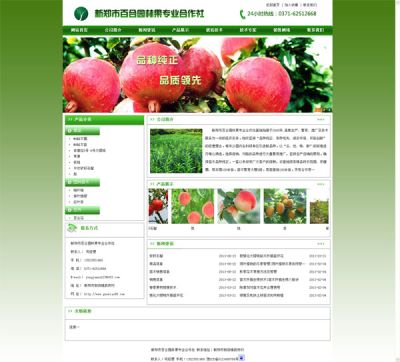 河南鄭州網站建設推廣有限公司