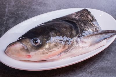 河南丹江天池漁業發展有限公司